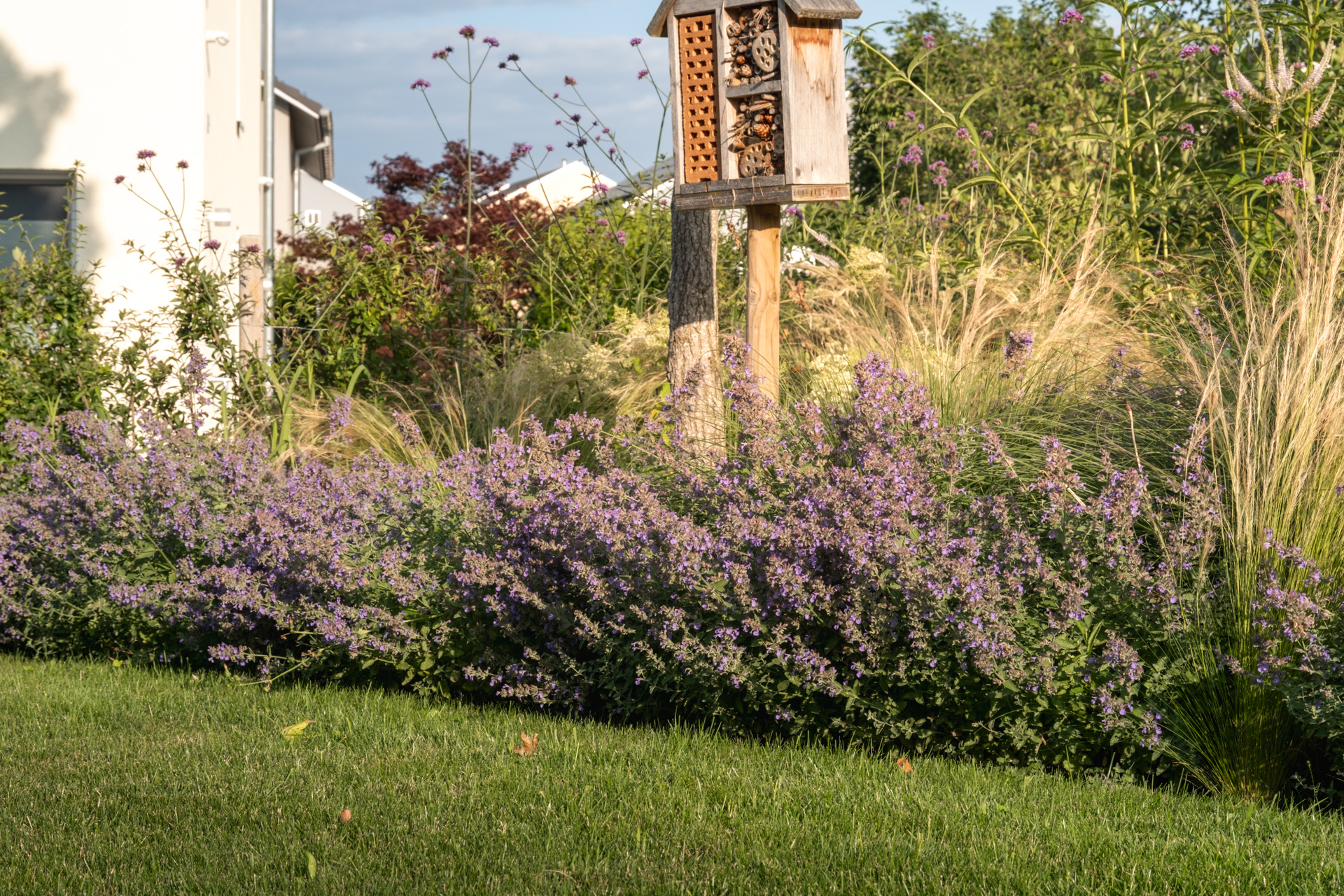 Garten mit blühenden Stauden und blauem Himmel. 