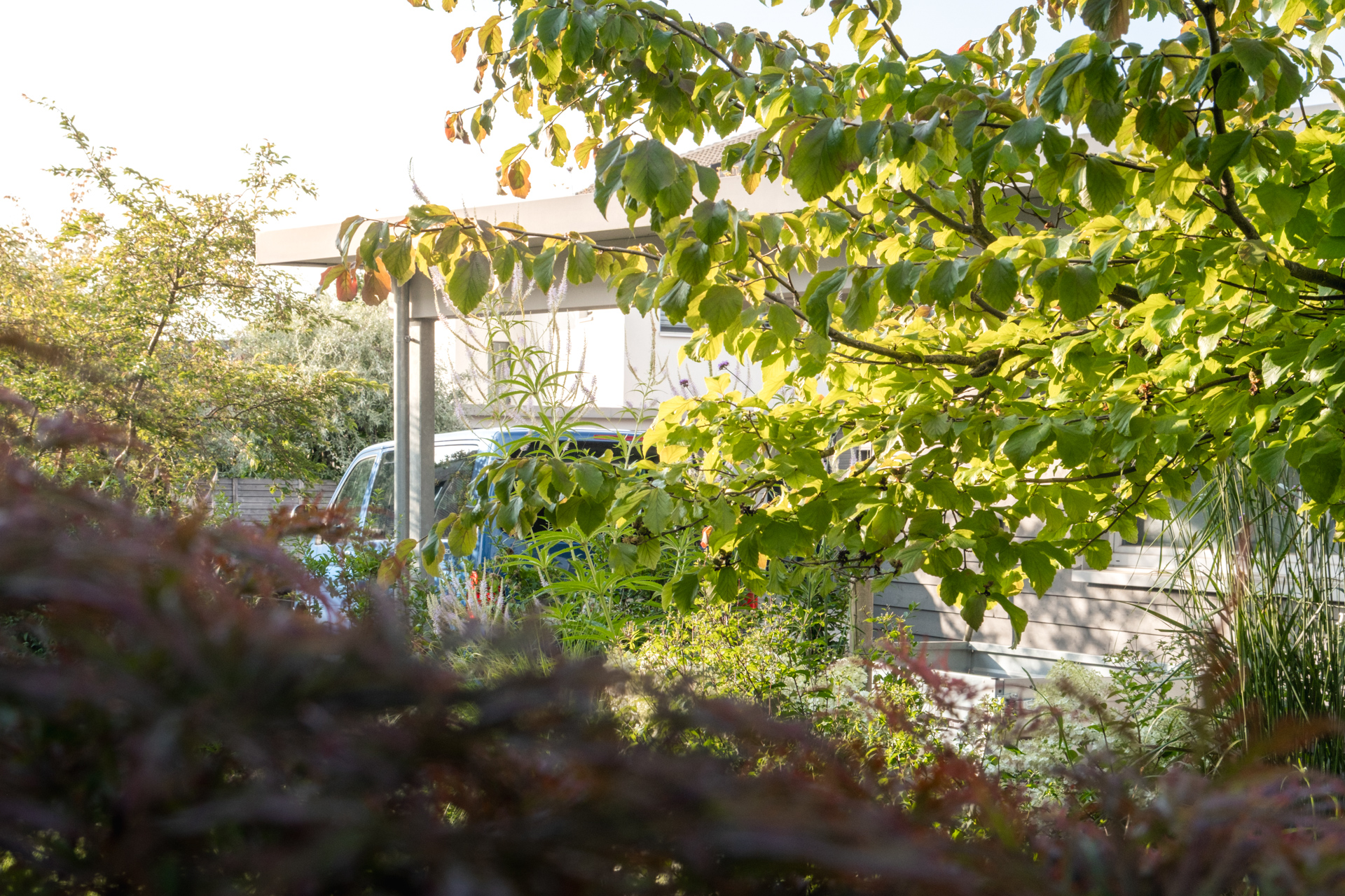 Äste eines Baumes versperren den Blick zur Einfamilienhaus Einfahrt. 