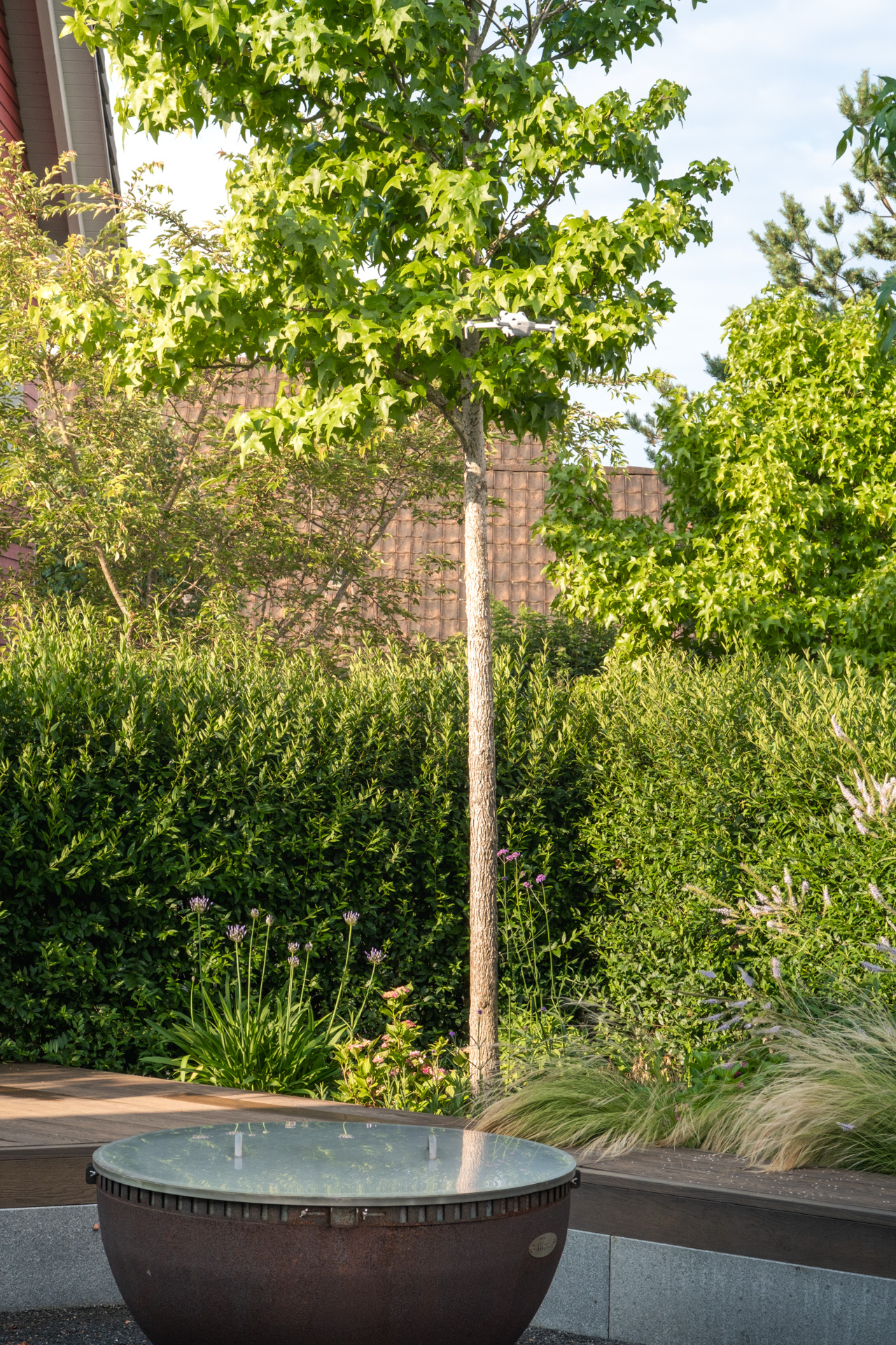 Feuerschale mit baum und Sichtschutzhecke in einem grünen Garten. 