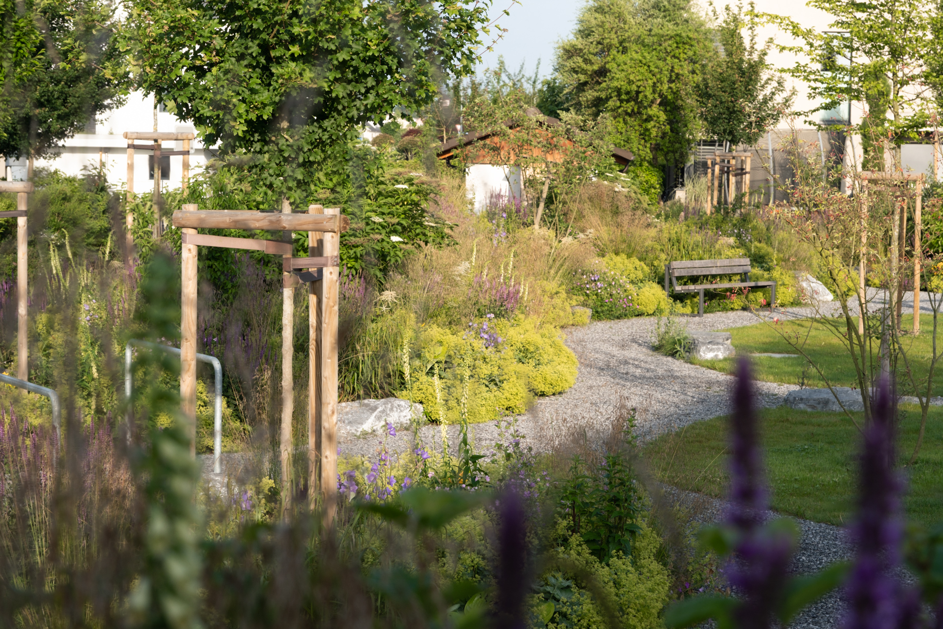 Geschwungener Kiesweg mit Sitzbank im naturnah gestalteten Quartierpark, umgeben von Blühstauden, Sträuchern und jungen Bäumen.