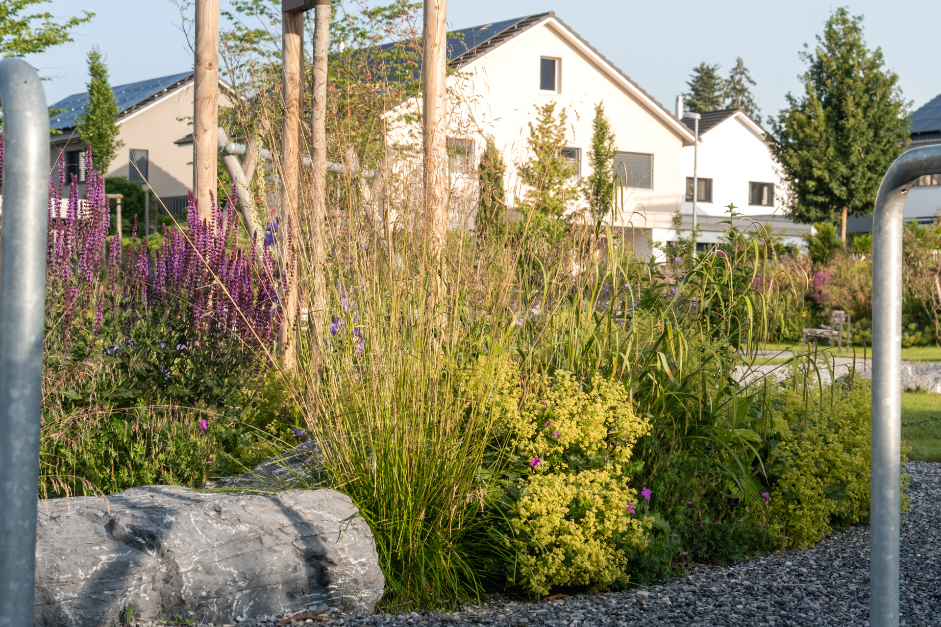 Bluhmenstauden in einem Beet mit grossen Steinen abgetrennt von Kiesgehweg.
