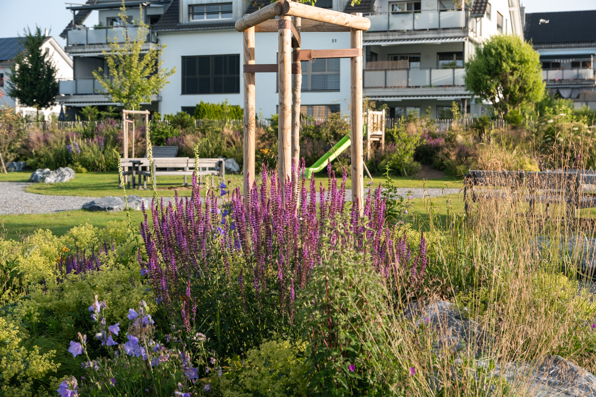 Violette blühende Stauden mit Spielplatz im Hintergrund in einem Wohnquartier.