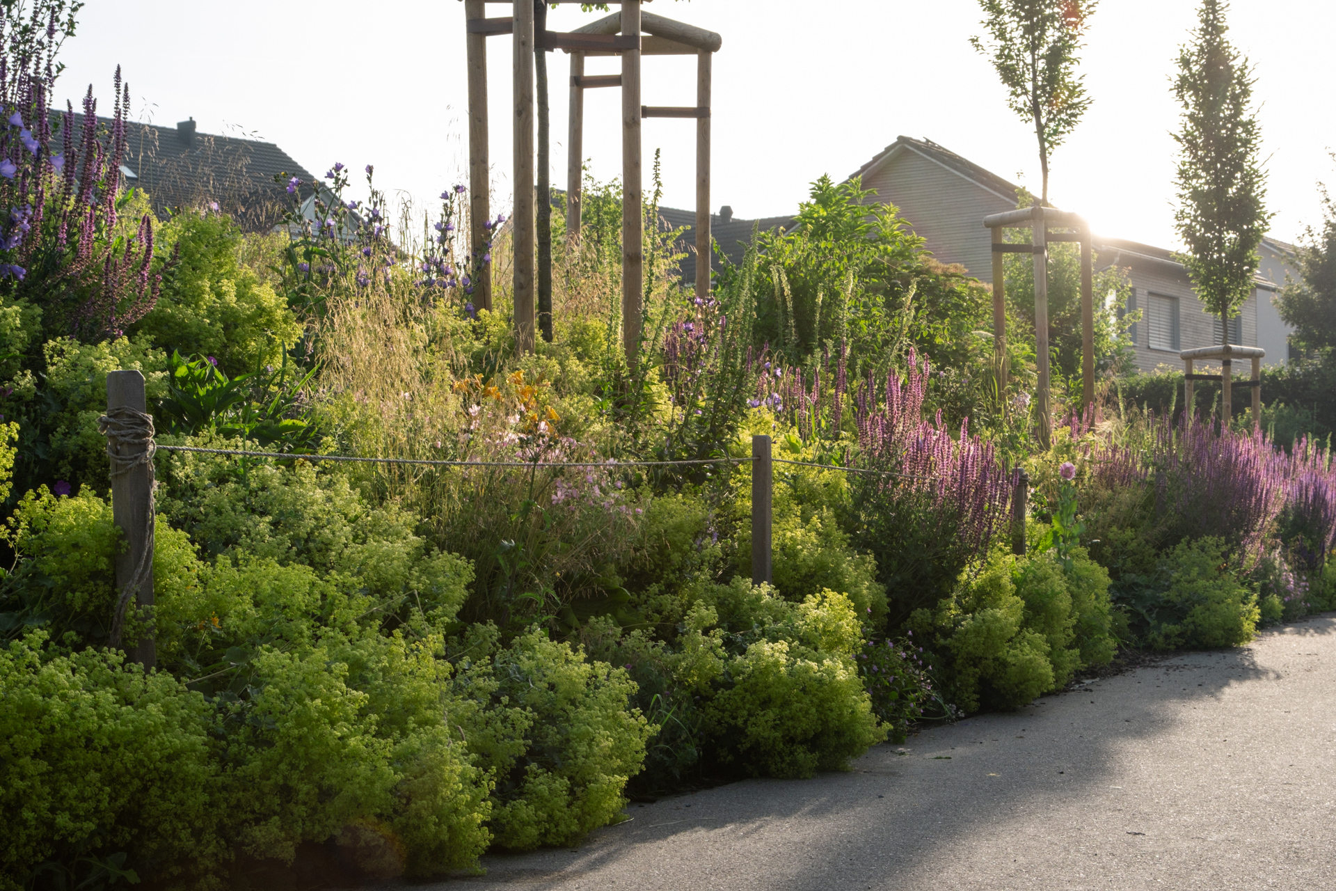 Sehr üppiges Blumenbeet mit Stauden udn hochstämmigen Bäumen.