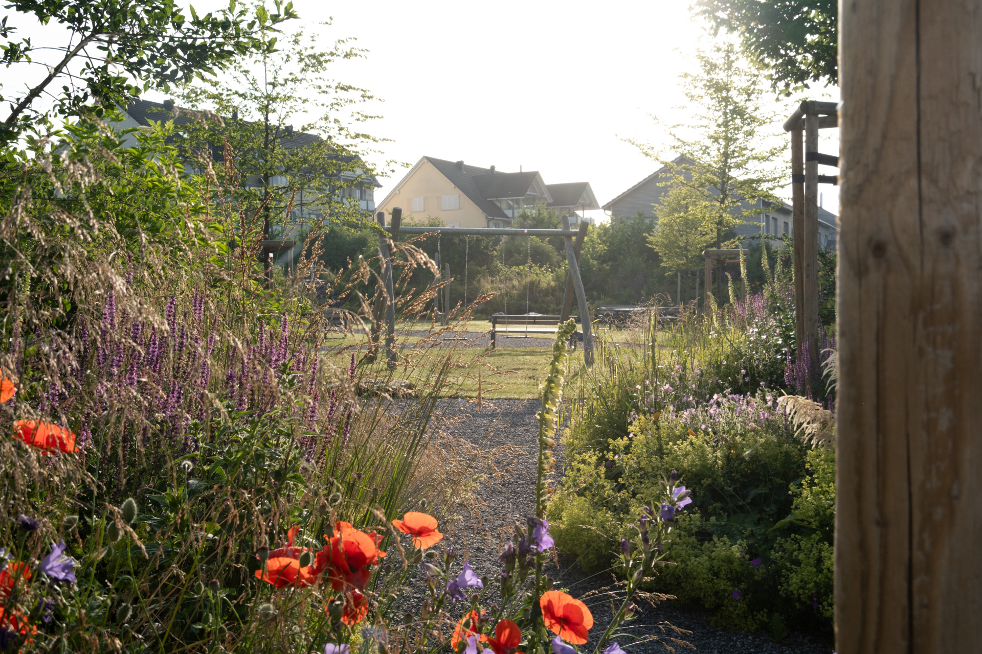 Rot blühender Mohn im Hintergrund eine Parkanlage und ein Wohnquartier.