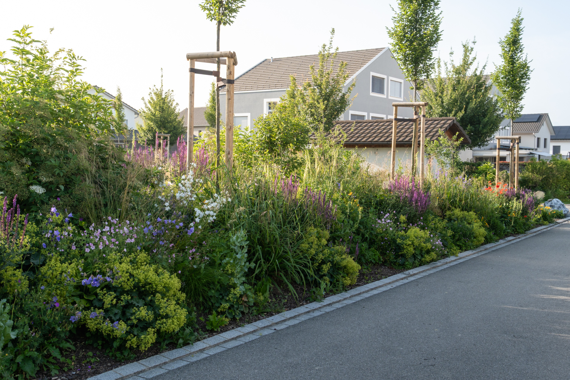 Strasse mit dichten und grünen Stauden und Bäumen.