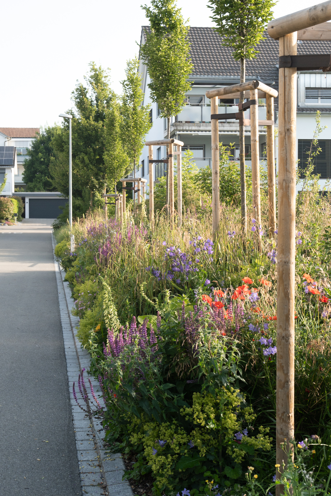Strassenrand mit farbig blühendem Blumenbeet und hochstämmigen Bäumen.