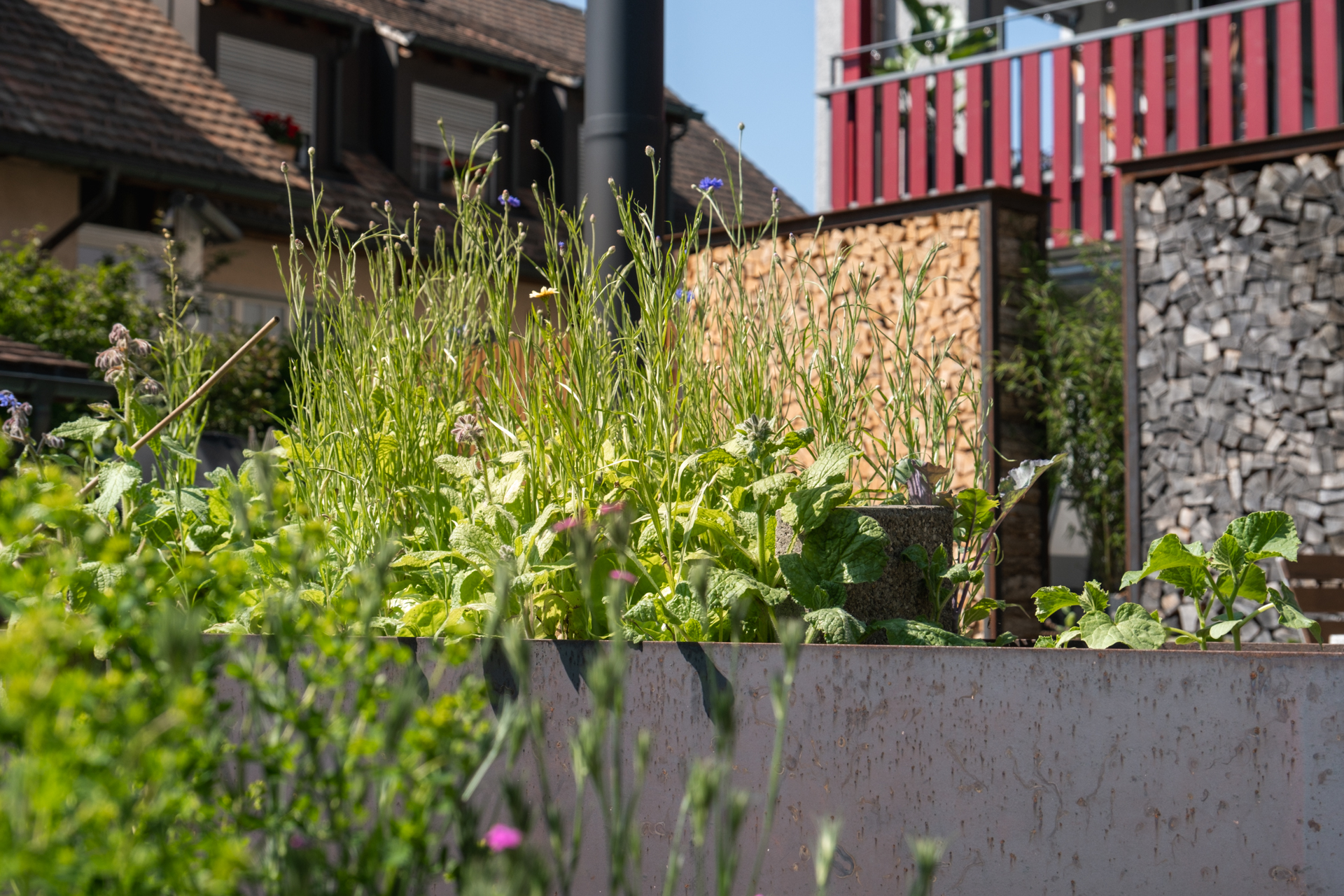 Hochbeete aus Stahl mit Holzlager im Hinterrgudn und wilden Blumen.