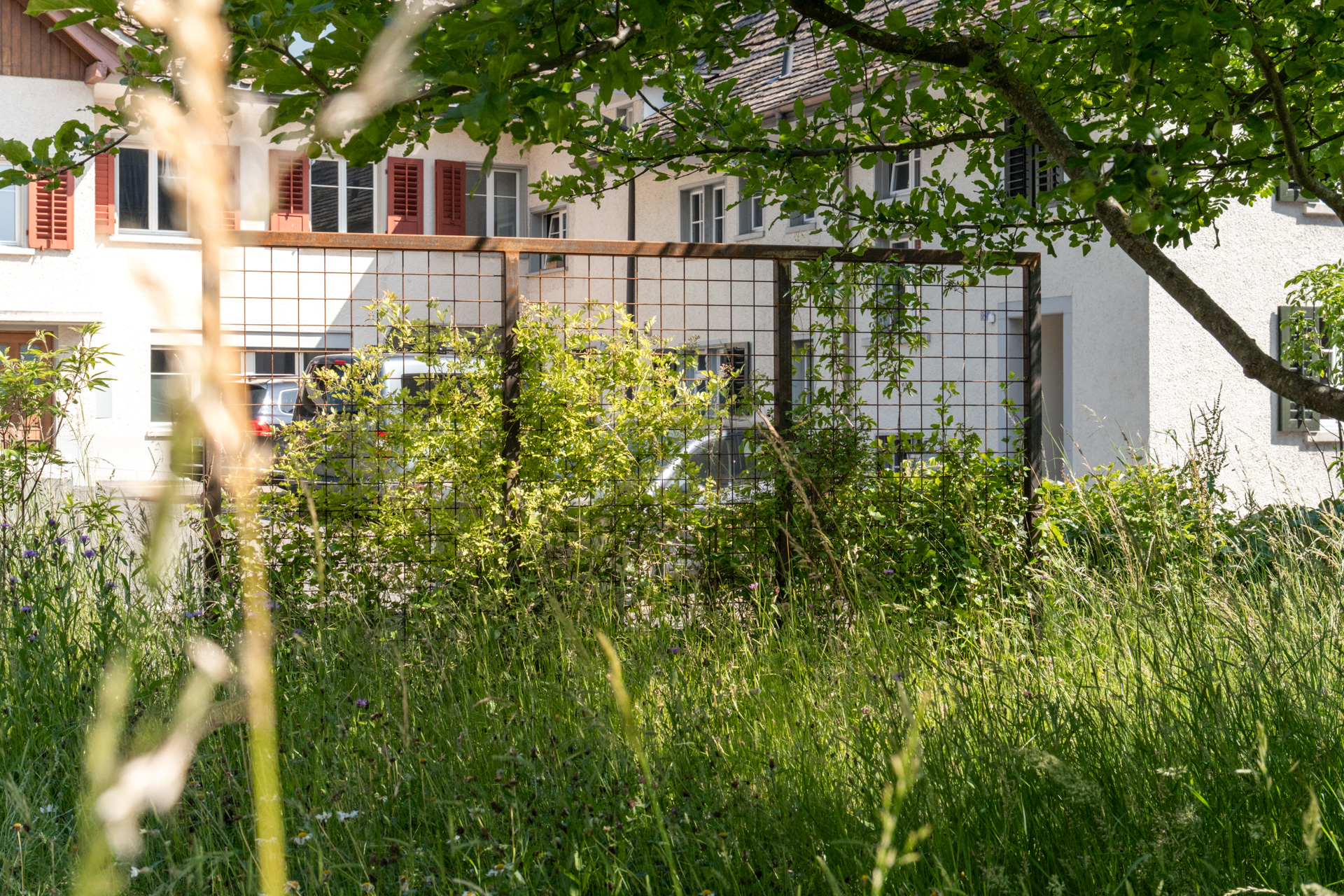 Stahlrahmen aus rost rote Stahlrahmen in einem verwunschenen Garten.