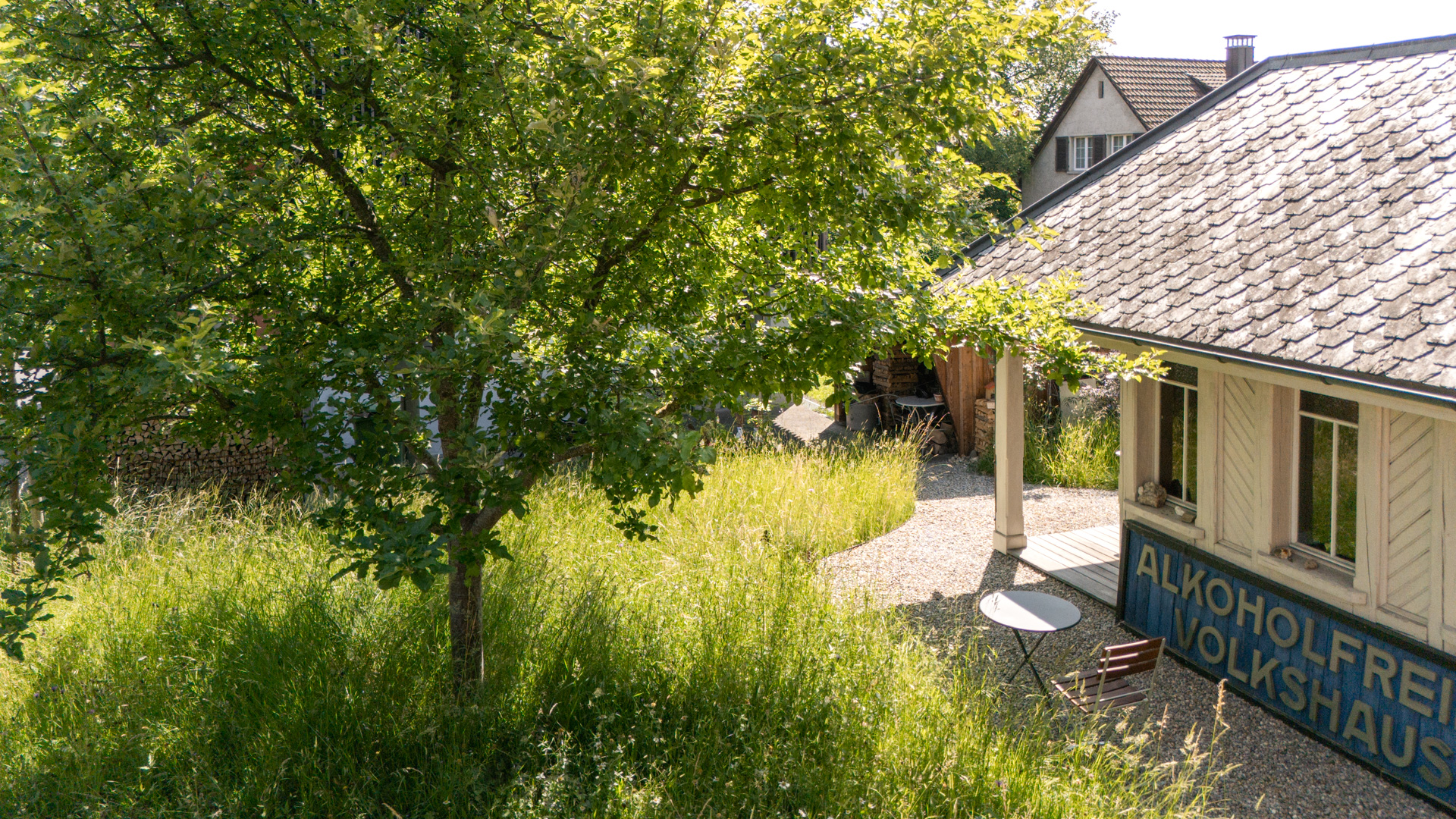 Wilde Blumenweise mit einem grossen schönen Baum in der Mitte.