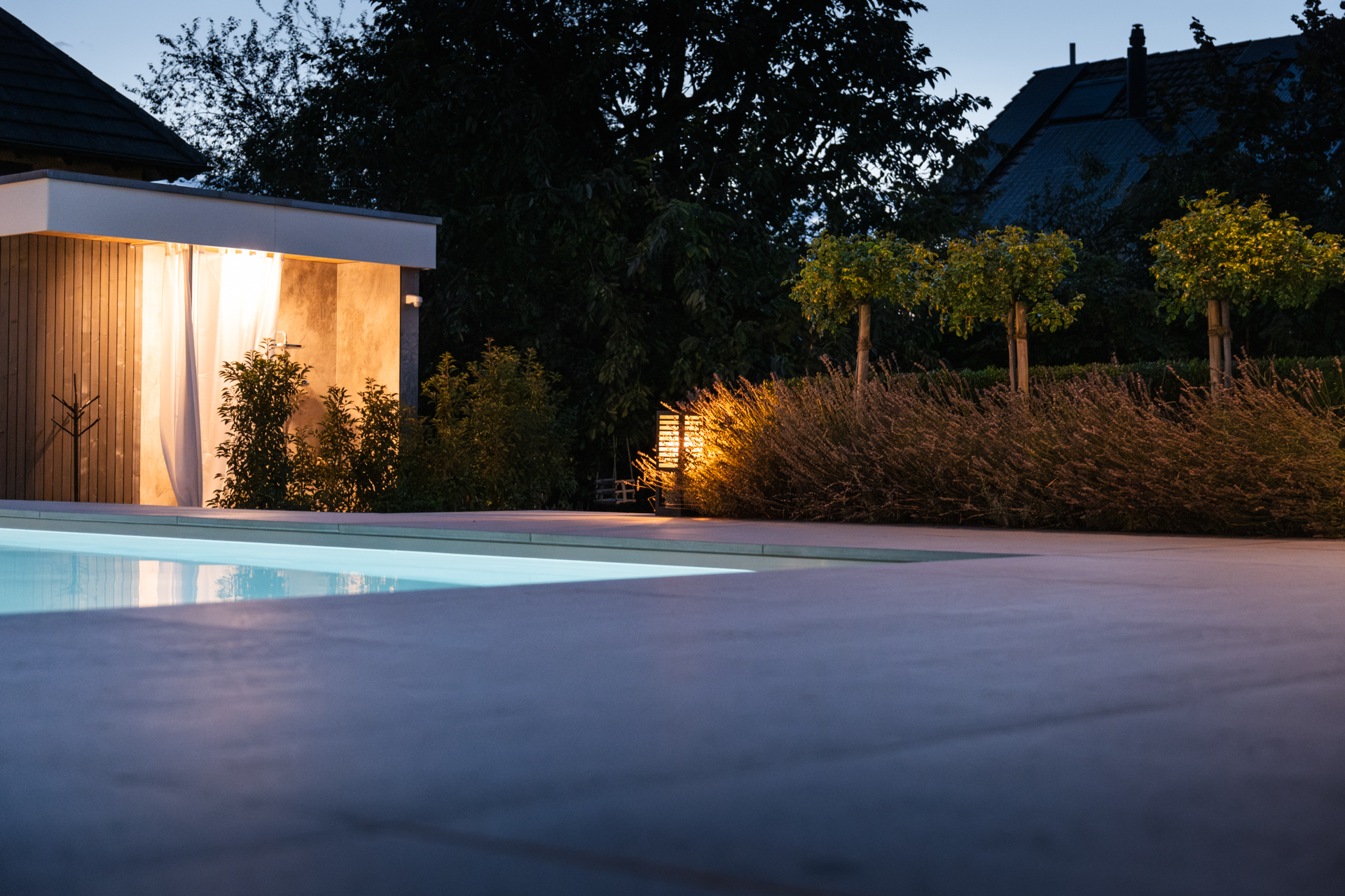 Heckenbepflanzung bei NAcht in einem Garten mit Pool und vielen Gräsern. 