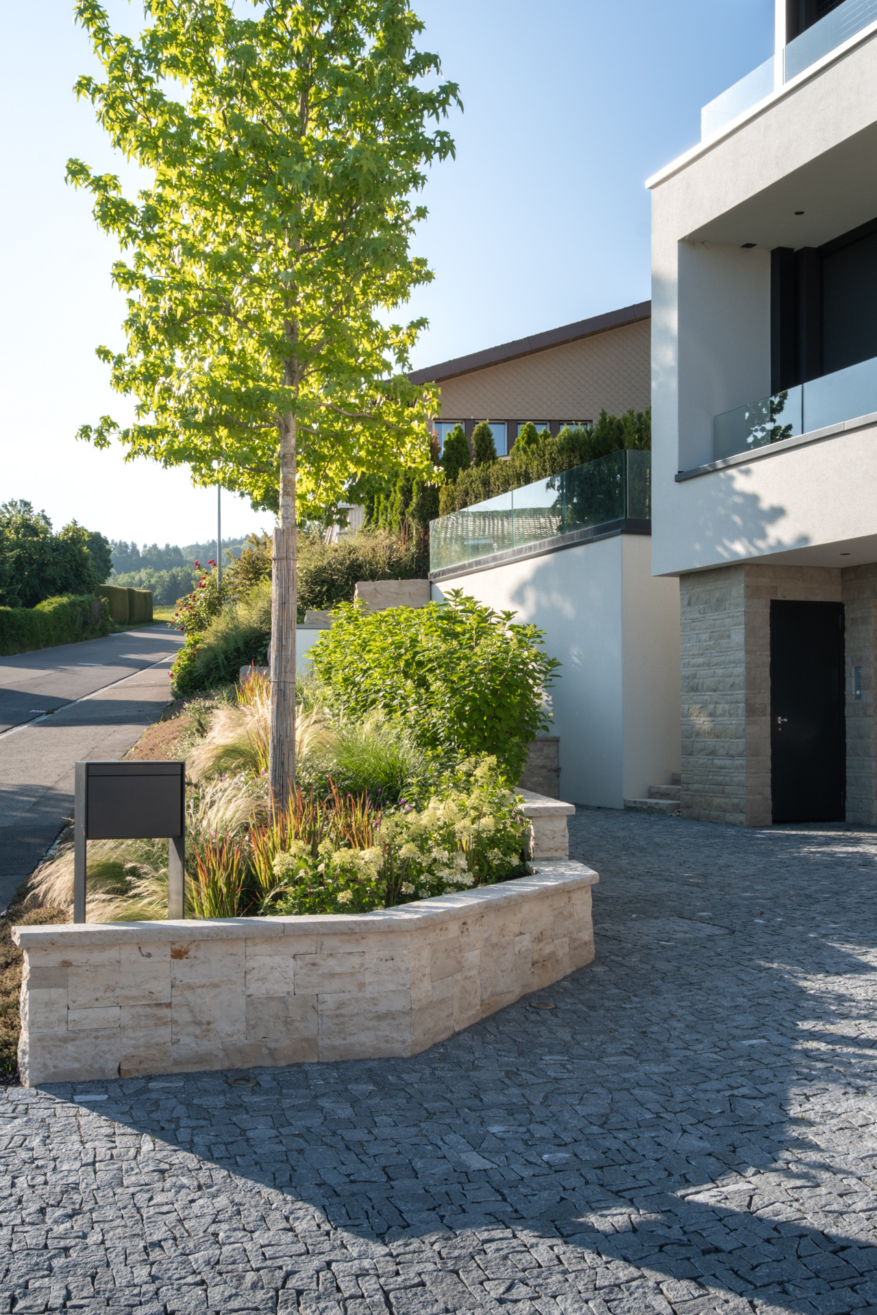 Zufahrt zu einem modernen Beton Haus mit schöner Bepflästerung und Gräsern mit Hochstamm Baum. 