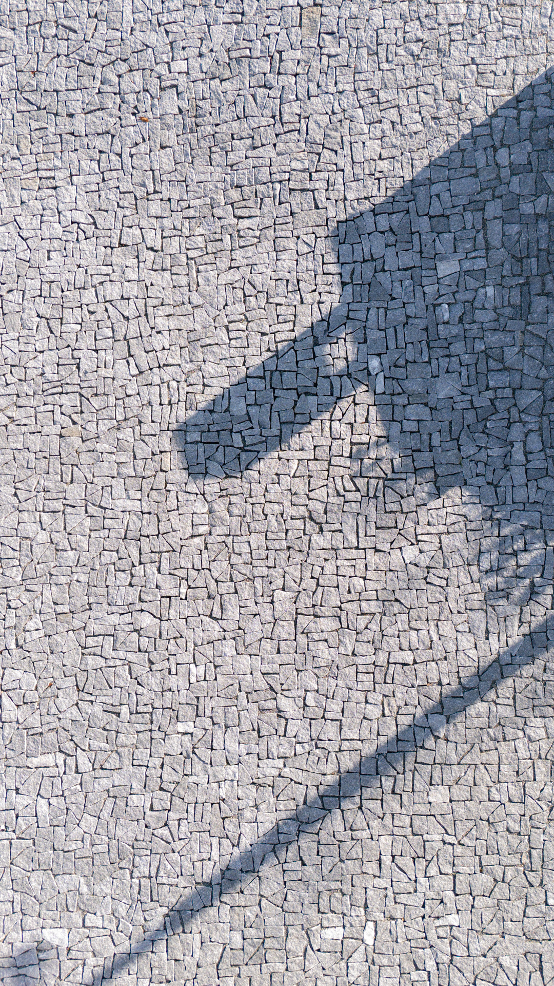 Detailbild der Einfahrt eines Privathauses: Bepflästerung mit einem hellgrauen Stein und Schattenwurf von Bäumen. 