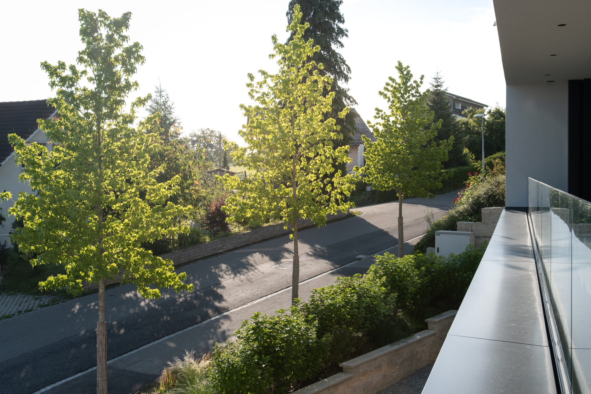 Ausblick einer modernen Villa mit fugenlosem Glasgeländer und Ausblick auf die Strasse mit hochstämmigen Bäumen. 