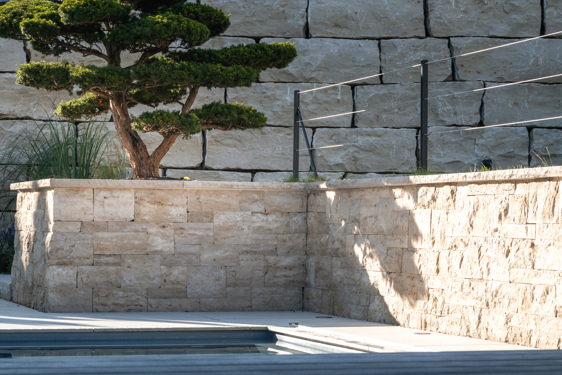 Trockenmauer aus Sandstein mit wunderschönem Bonsai. 