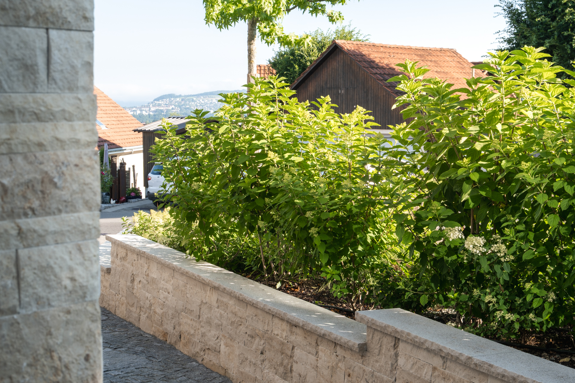 Begrünter Eingangsbereich eines Privathauses mit hochstämmigen Bäumen im Hintergrund. 