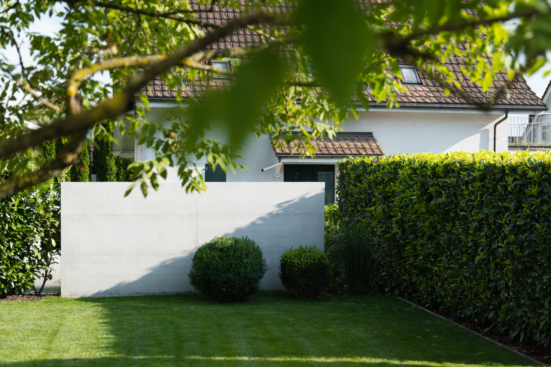 privater Garten mit Hecke und Beton Sichtschutz mit Buchskugeln. 