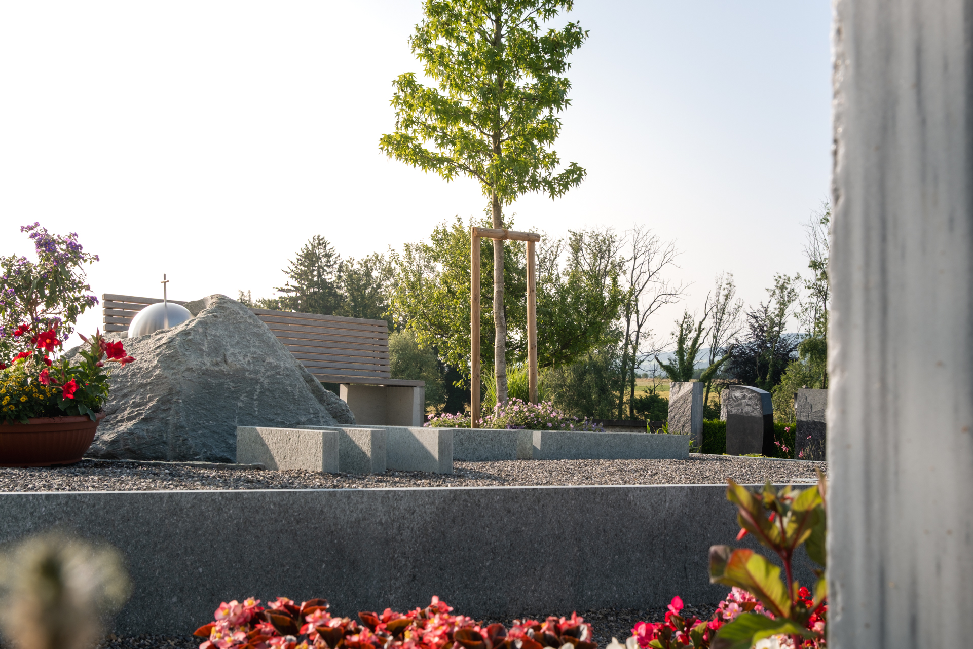 Stellplatte in einem Friedhof mit farbigen Blüten und einem hochstämmigen Baum. 