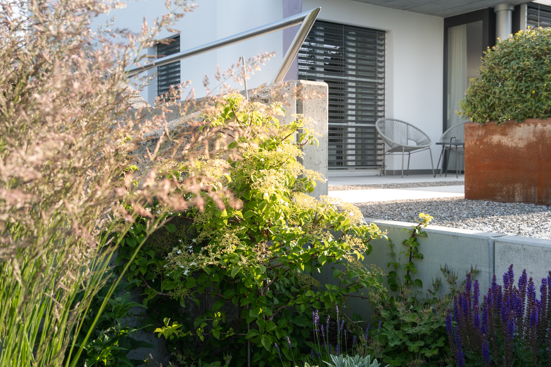 Blumenbeet mit violetten Pflanzen und hohen Gräsern im Hintergrudn ein rostrotes Stahl hochbeet. 