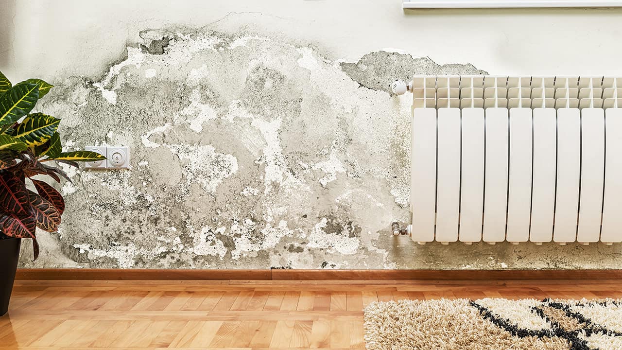 Building Maintenance: What Property Owners Need to Know