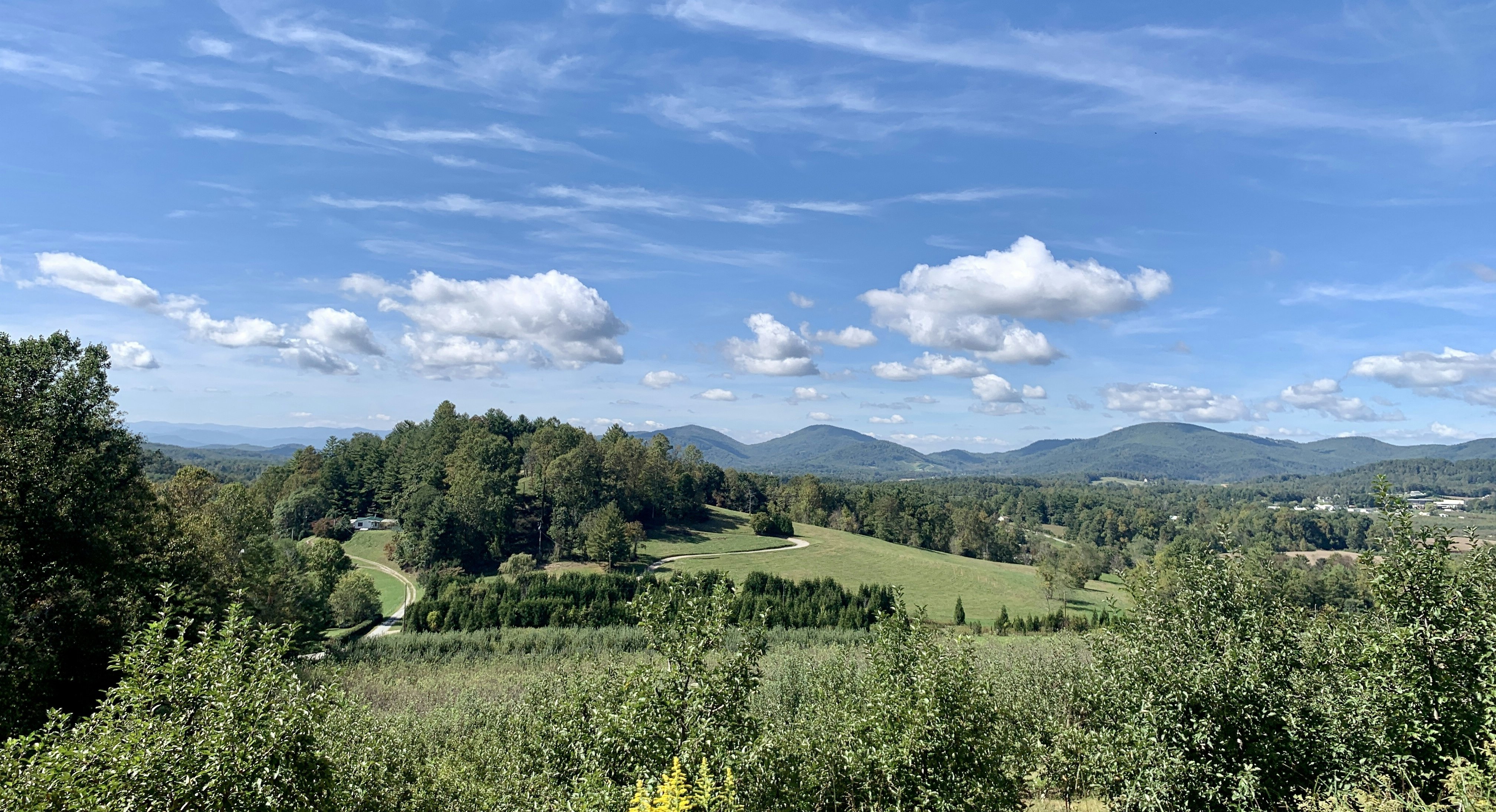 A scenic view of a lush green valley in Hendersonville, NC. Photo by Stephanie Klepacki on Unsplash