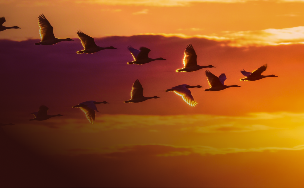 Migrating from VMWare: Managing Cost and Complexity Challenges