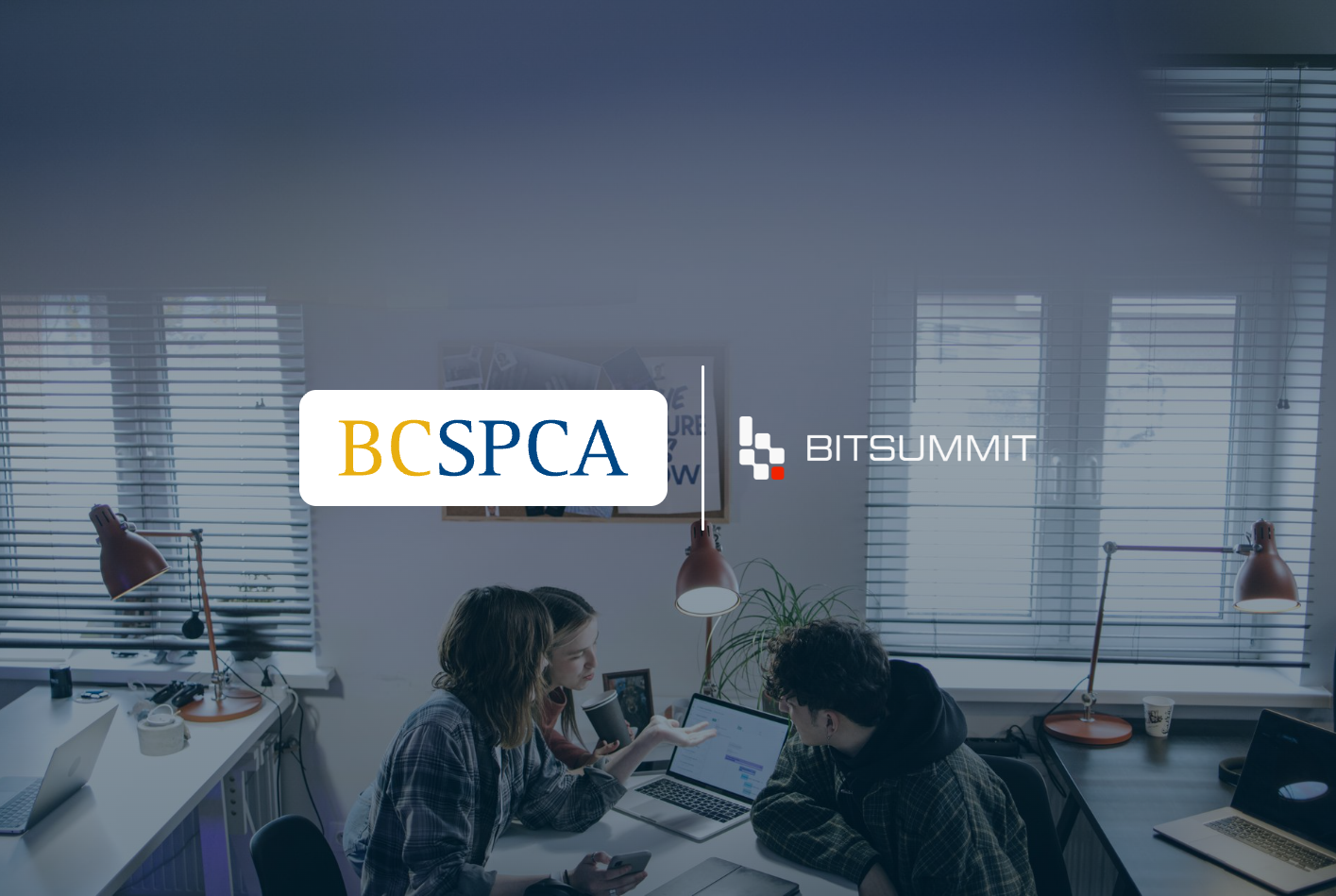 BC SPCA Builds Security Maturity, Phase by Phase