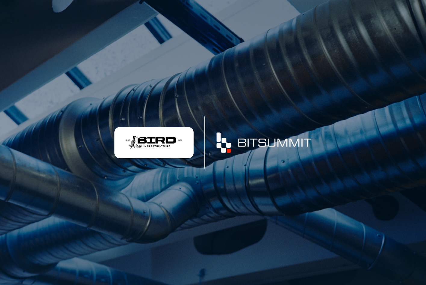 Bird Mechanical Switches Email Domains Without Losing Mail