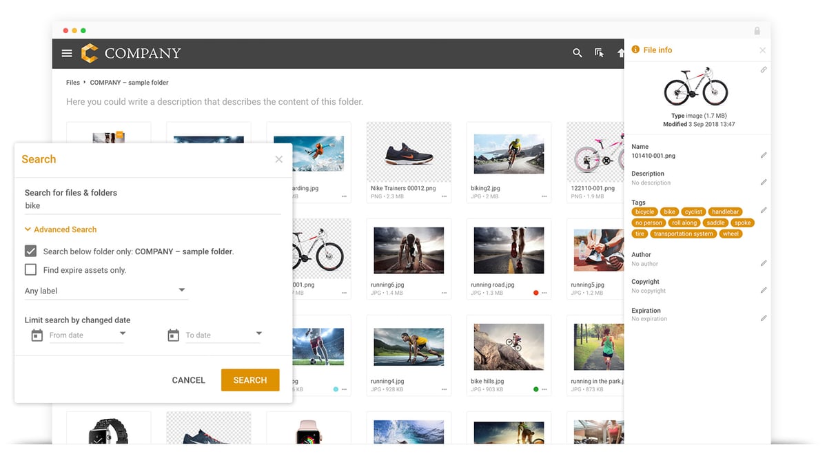 Filecamp Demo - Searching and tagging