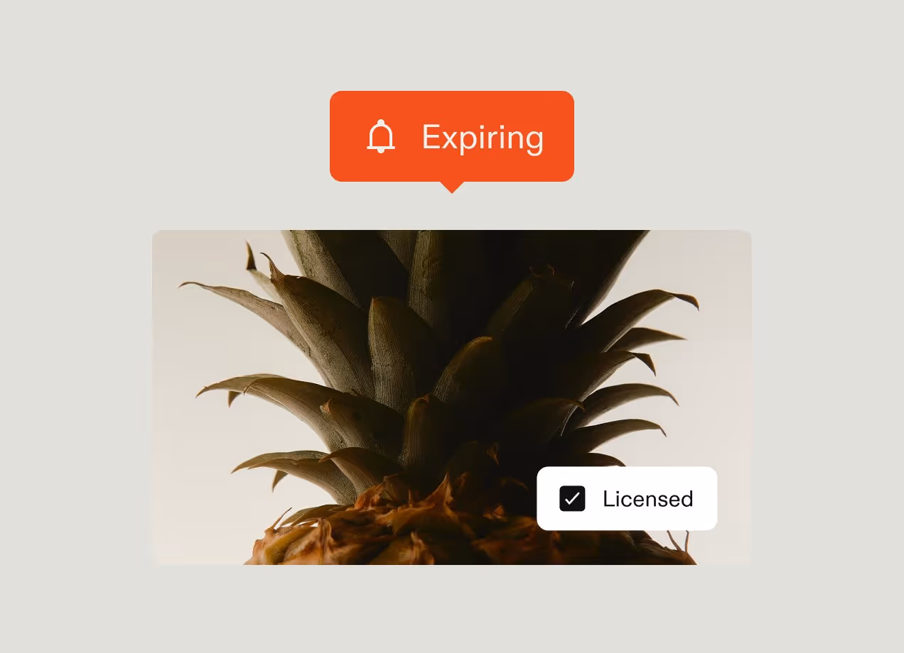 DAM_expiring