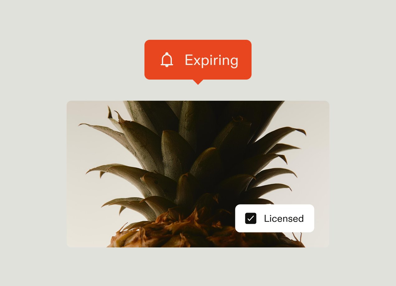 DAM_expiring
