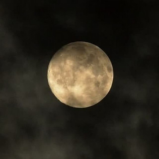 Moon Light