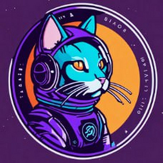 Spacecat Ws