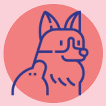 Corgi Node