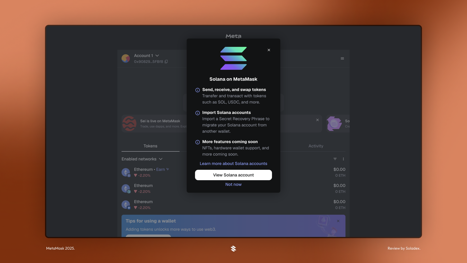 The Solana on MetaMask prompt shown on sign up