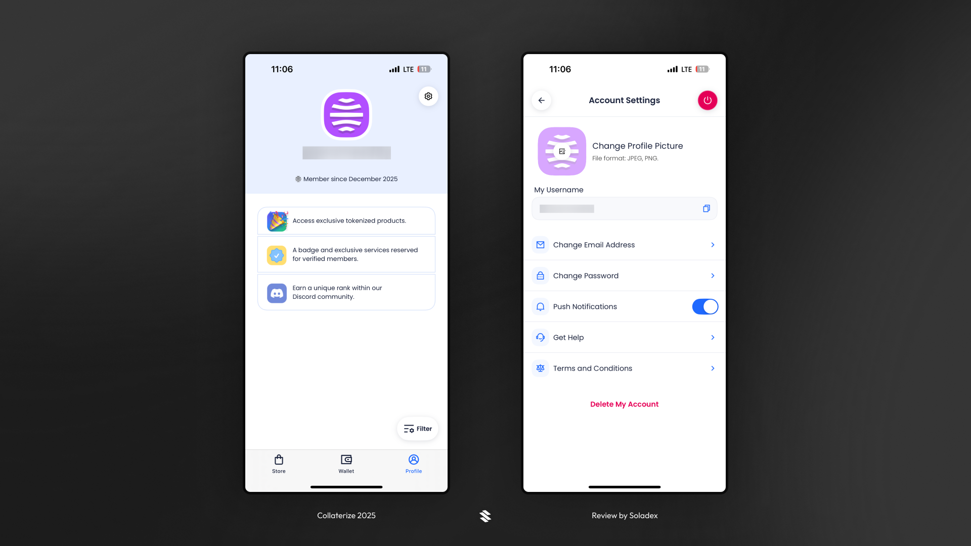 The profile section on Collaterize