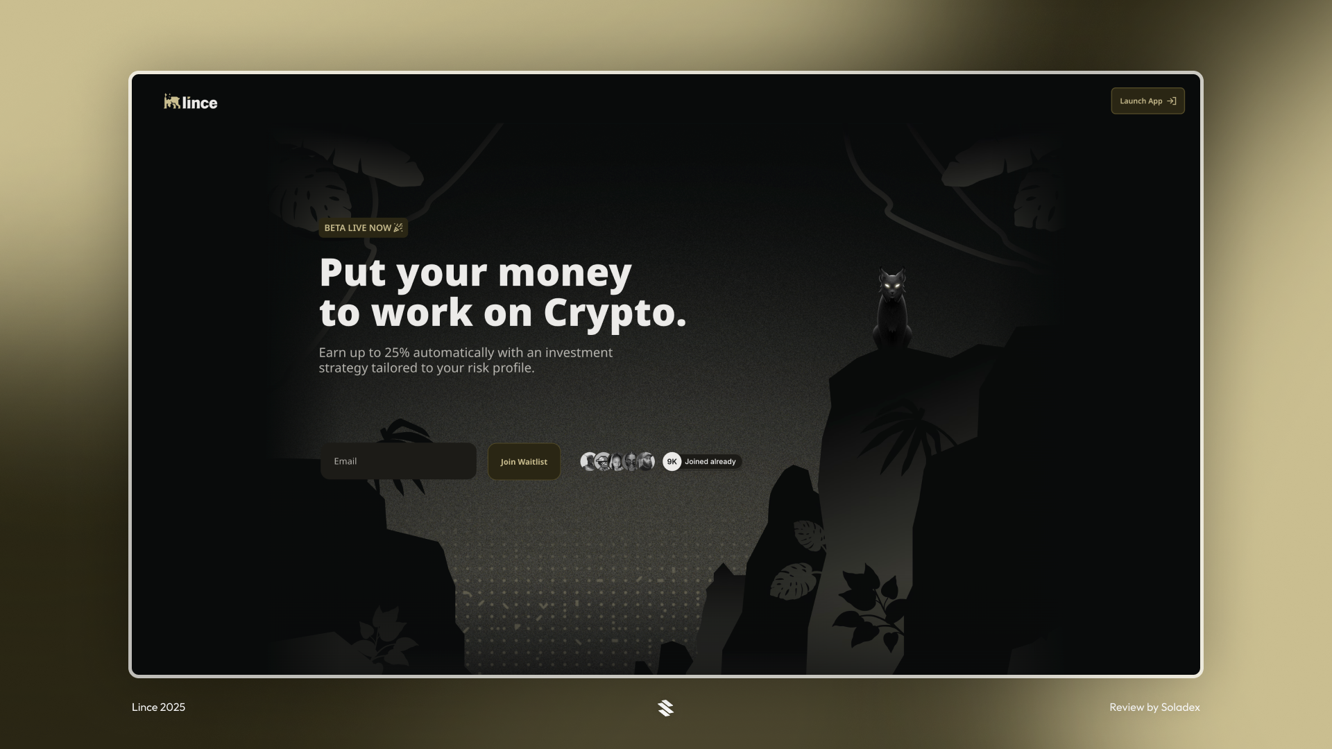 The Lince Finance homepage