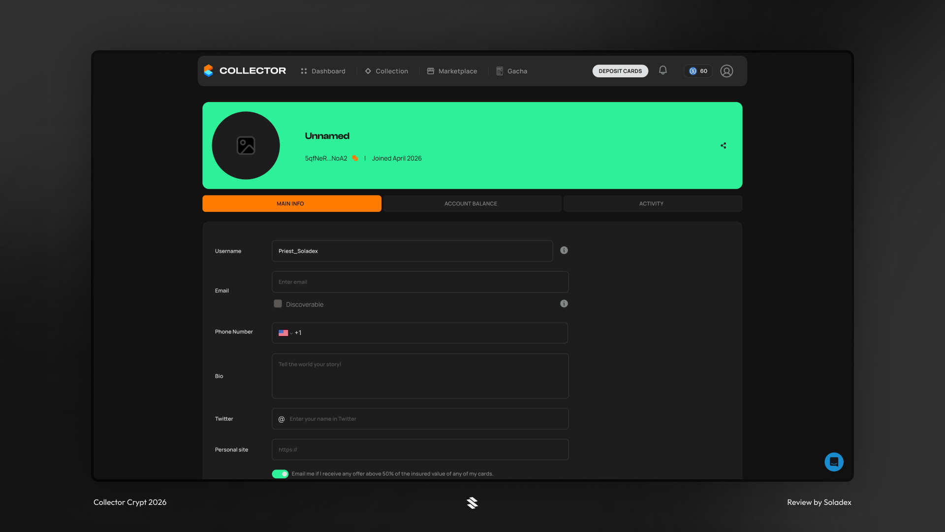 Examining a wallet profile on Collector Crypt.