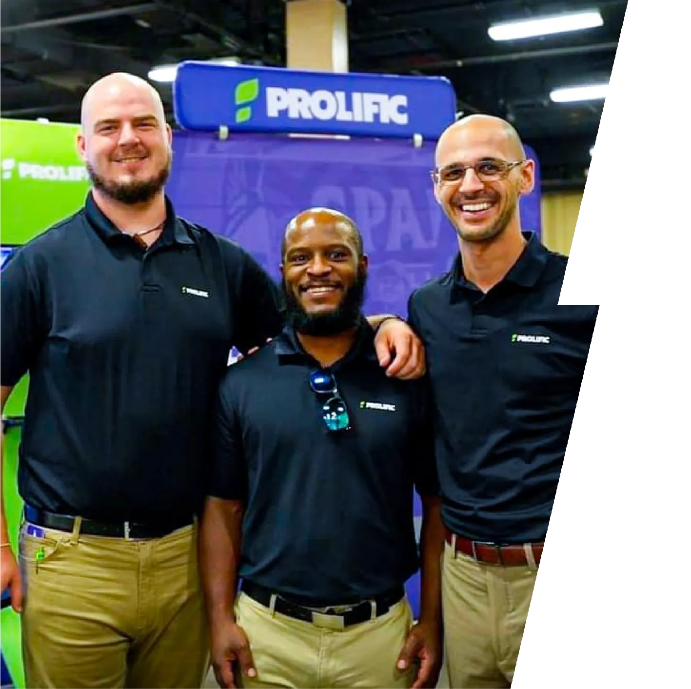 The Prolific Brand Design team