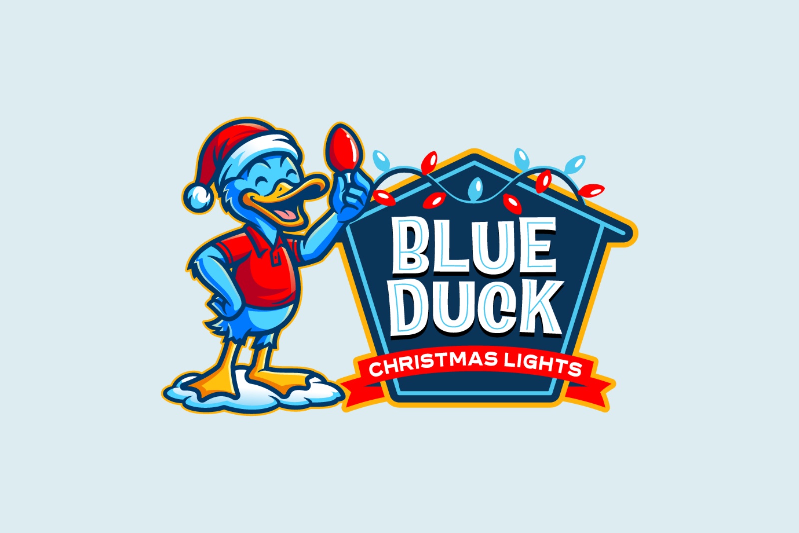 Blue Duck Holiday Lighting