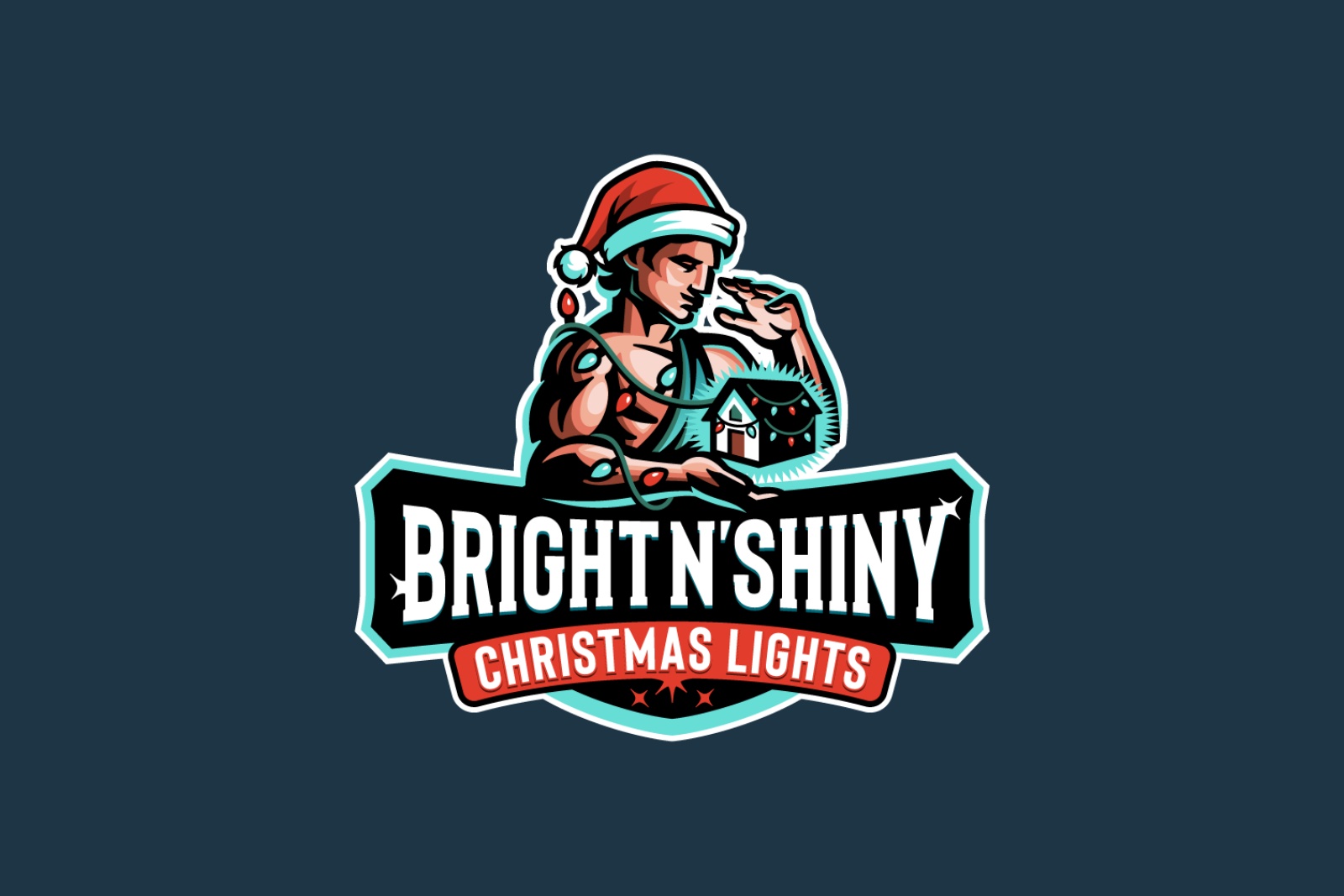 Bright 'N Shiny Christmas Lights