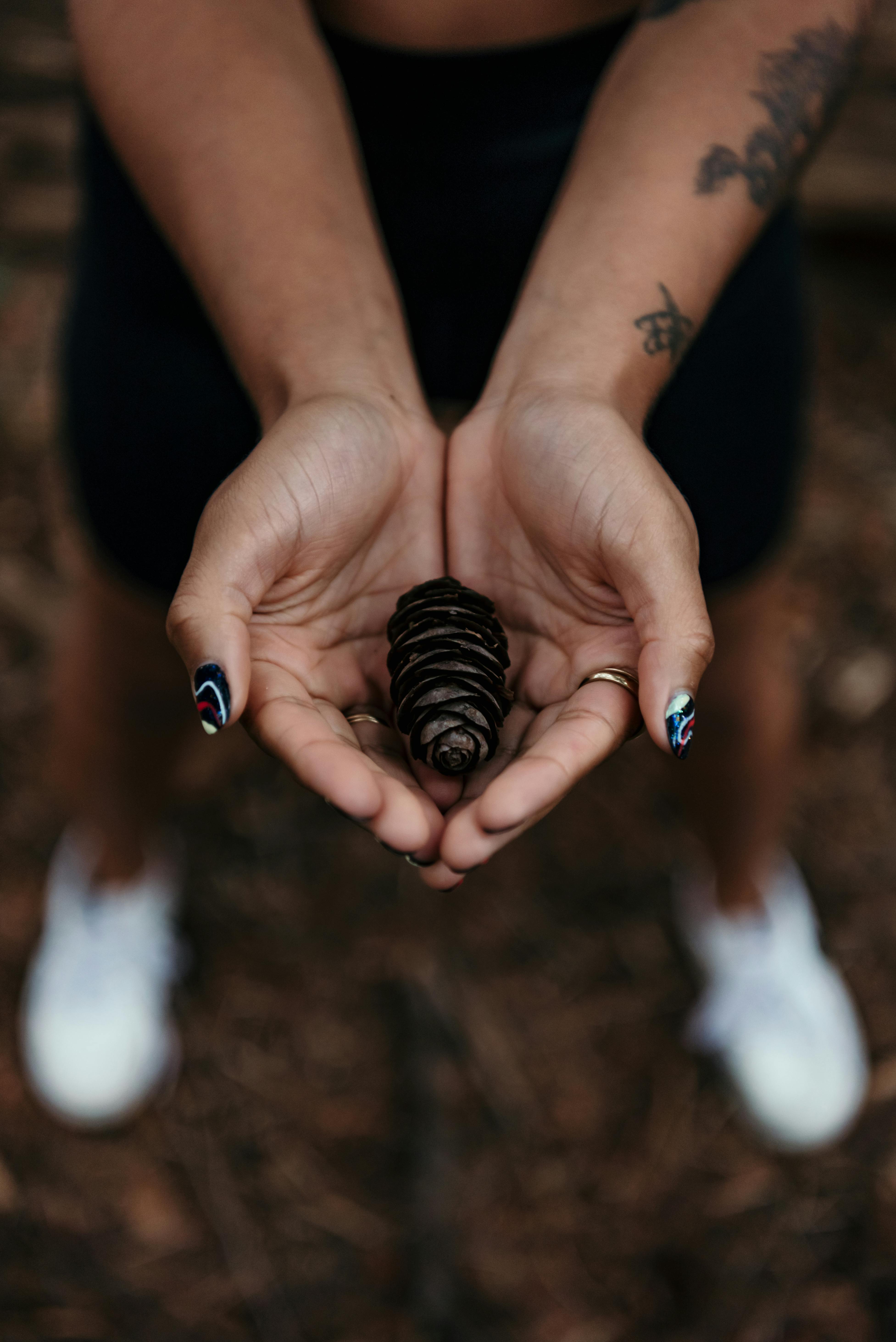 Woman holding a pinecone representing the natural seasons of life and therapy.