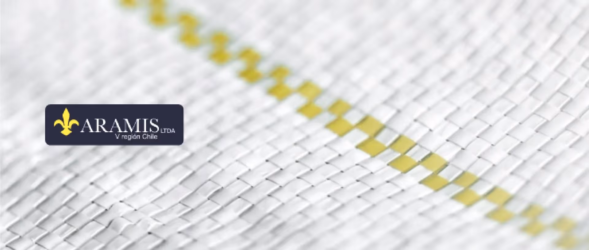 Diseño y desarrollo web para Aramis.