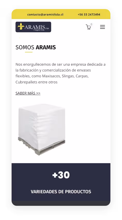 Diseño web para Aramis.