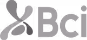 BCI elige Bigbuda, agencia digital en Chile, para optimizar sus diseños web