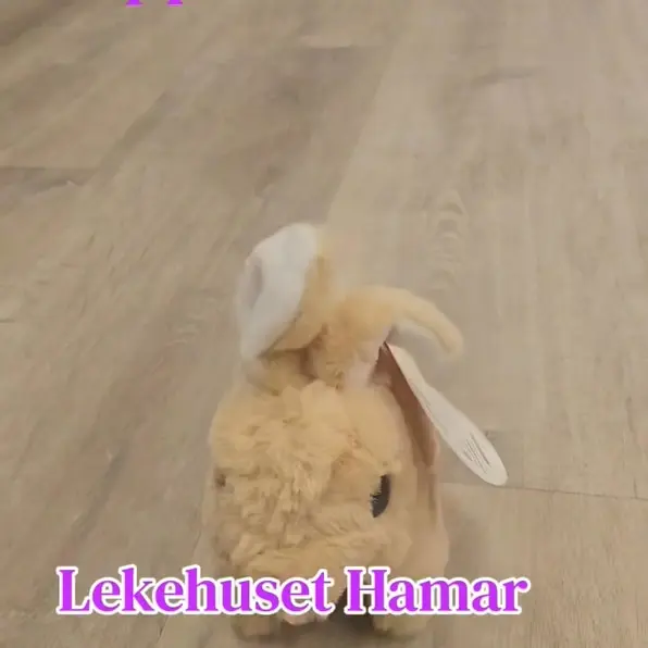 Video fra Facebook-post