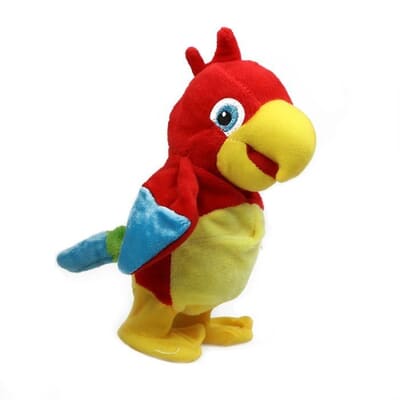 Polly The talking parrot