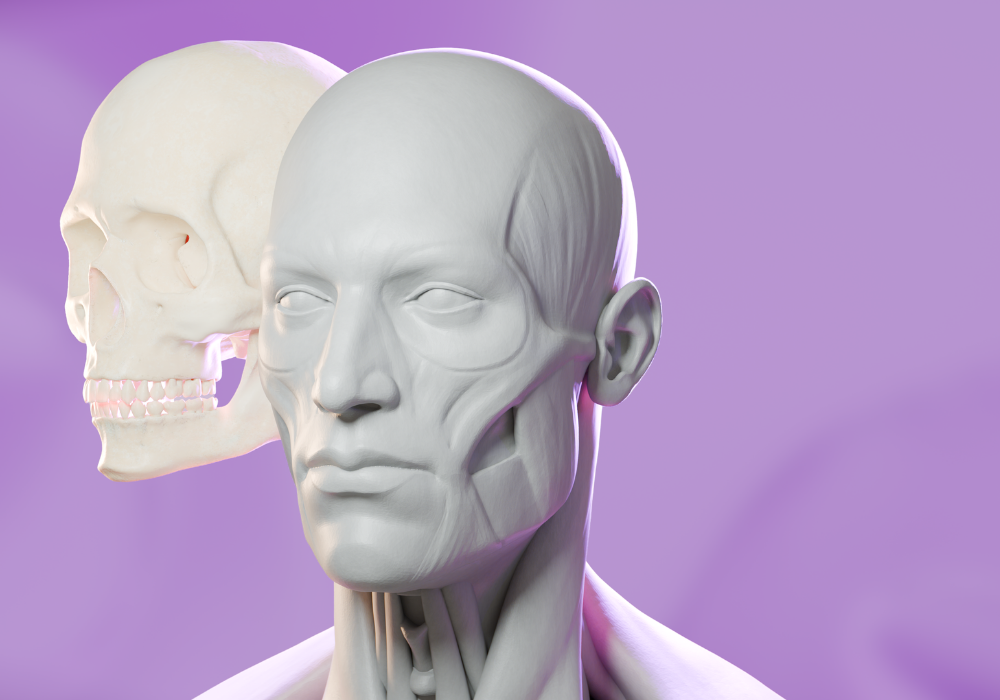 The Science Behind Oral Rehabilitation