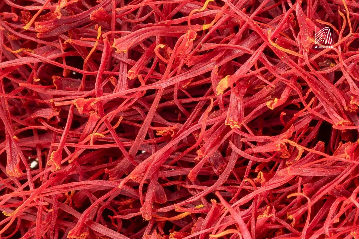 Buy Bulk Persian Saffron Types