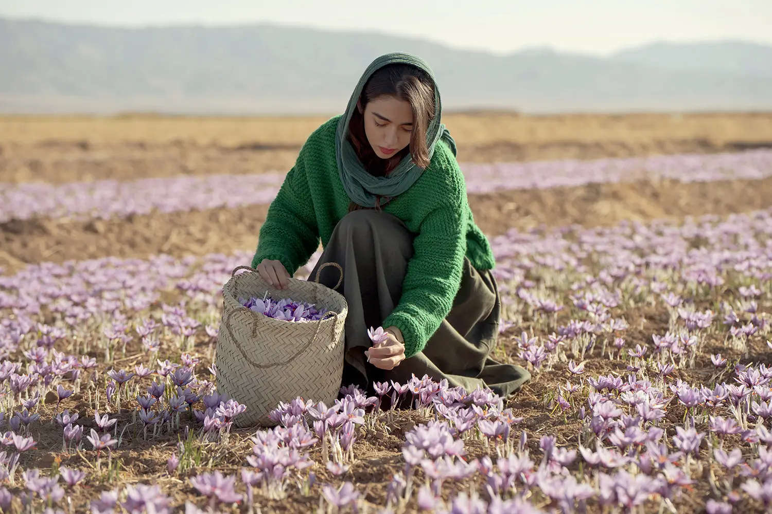 Buy Bulk Persian Saffron Types