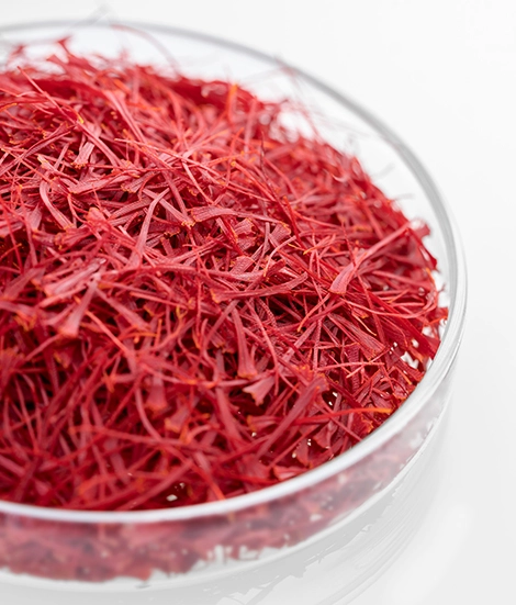 saffron wholesale